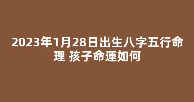 2023年1月28日出生八字五行命理 孩子命運如何